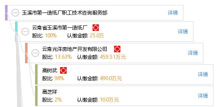 玉溪市第一造纸厂职工技术咨询服务部 技术咨询的先锋与实践